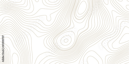 Panorama view gradient multicolor wave curve lines banner background design. Vector illustration. Line topography map contour background .Abstract Topographic map background with wave line.