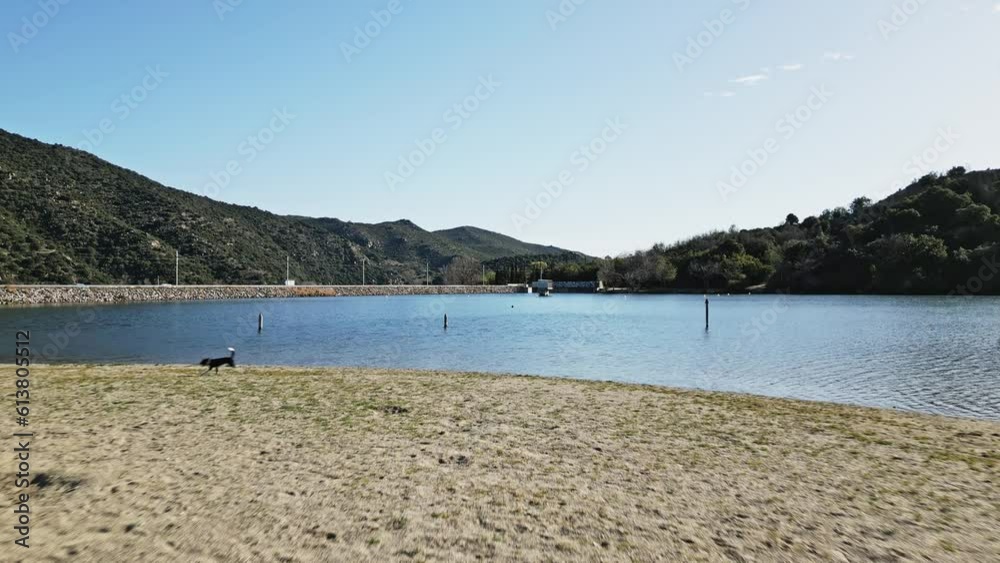 A Dog Fetchs the Ball in Lac Vinça Lake France Natural Landscape in Warm Summer, Aerial Drone Flying Low Shot along French Pyrenees