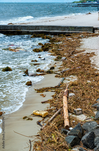 Consequences of the Accident at the Kakhovka power plant, pollution of the beaches of Odessa with garbage and plant remains brought by water photo