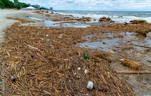 Consequences of the Accident at the Kakhovka power plant, pollution of the beaches of Odessa with garbage and plant remains brought by water photo