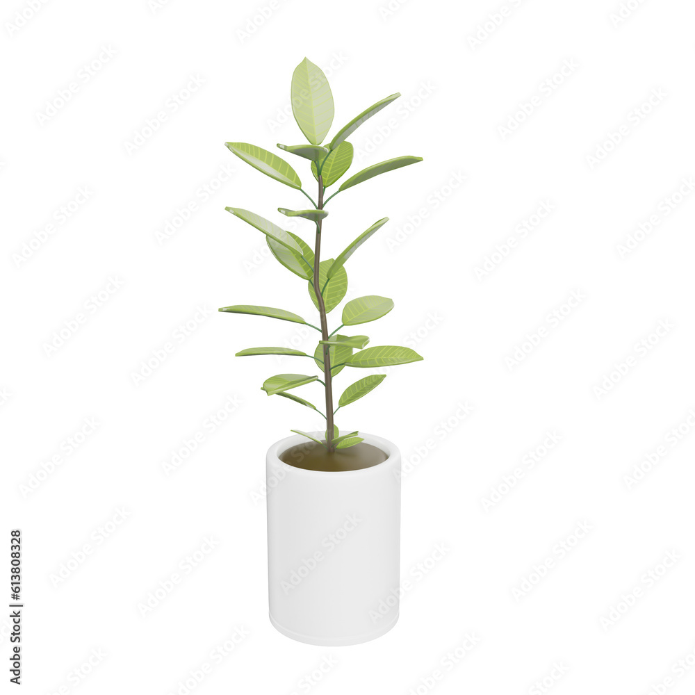 Houseplant 3D Illustration Object Houseplant 3D Illustration Object