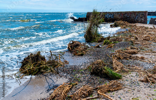 The consequences of the dam break of the Kakhovka power plant, the current brought garbage and floating islands of reeds and river plants to the beaches of Odessa photo