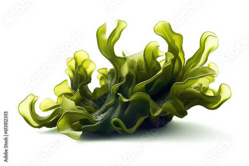 Fucus Algae On White Background. Generative AI photo