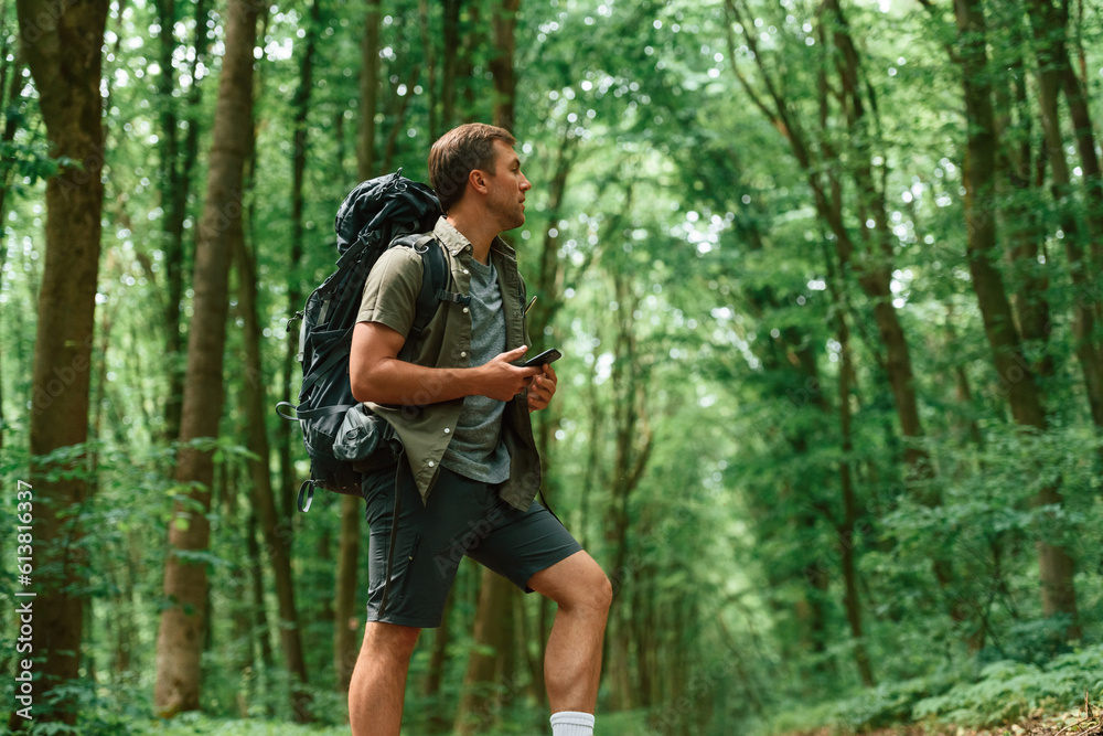 Big backpack and smartphone. Tourist in summer forest. Conception of exploration and leisure