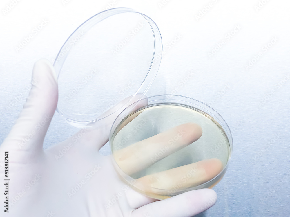 Microbial experimenters are conducting experiments in modern laboratory.