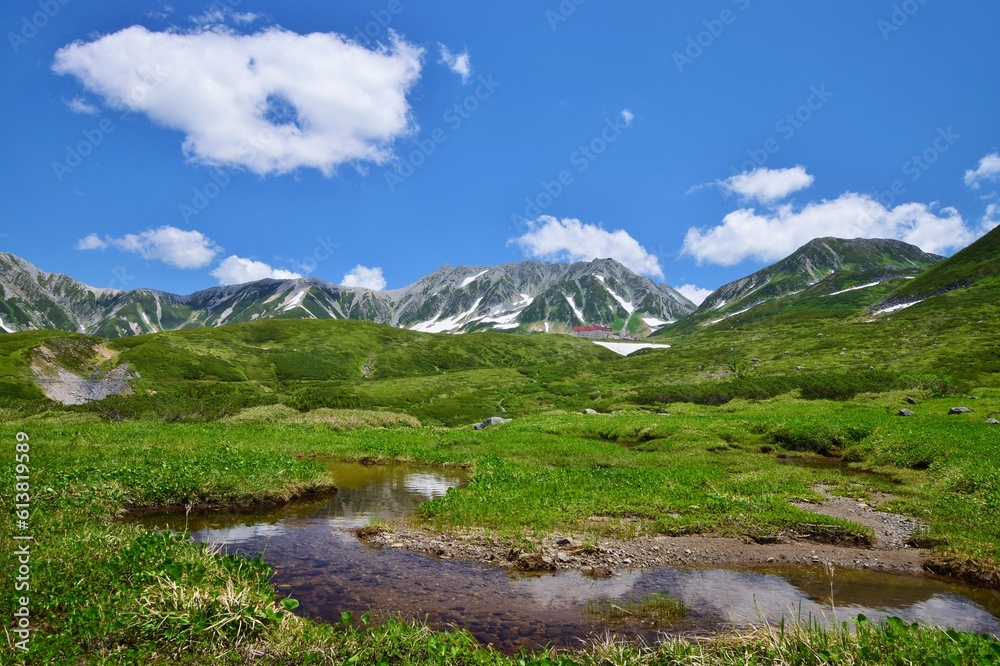 Fototapeta premium 北アルプス 立山連峰 夏景色