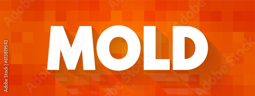 Mold is one of the structures that certain fungi can form, text concept background