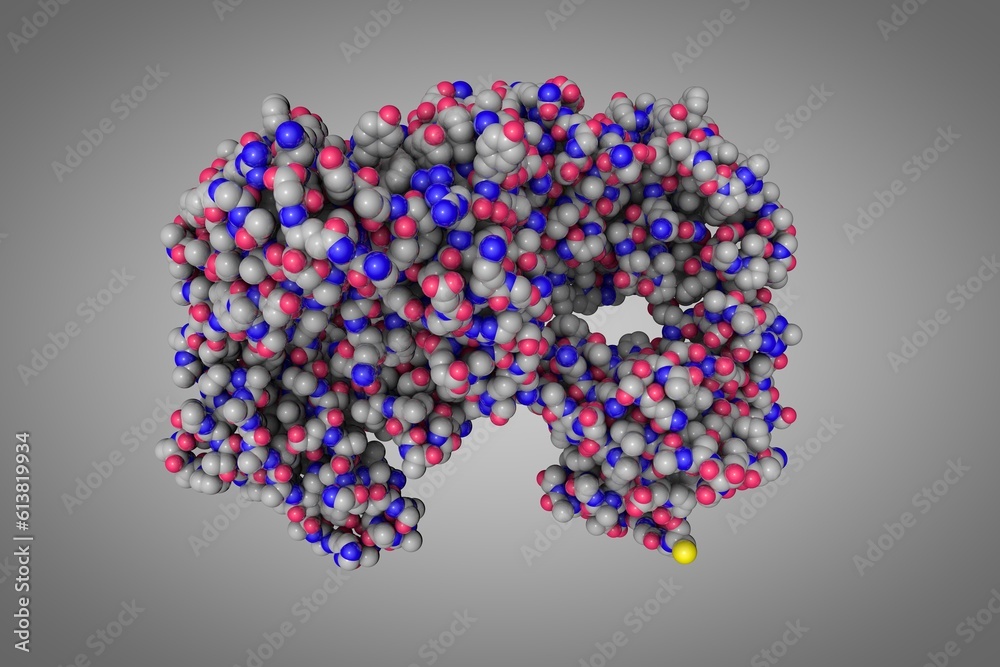 Structure of Herceptin Fab without antigen. Space-filling molecular model on gray background. Rendering based on protein data bank entry 6mh2. Scientific background. 3d illustration Structure of Herceptin Fab without antigen. Space-filling molecular model on gray background. Rendering based on protein data bank entry 6mh2. Scientific background. 3d illustration