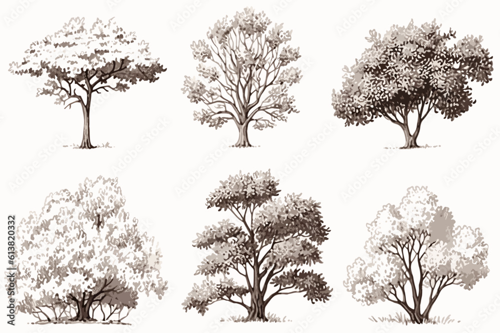Fototapeta premium collection of trees