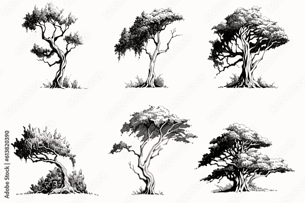 Fototapeta collection of trees