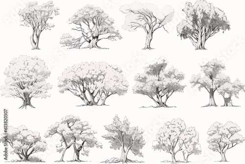 collection of trees