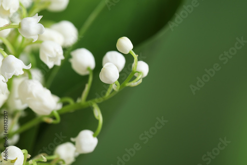 Beautiful lily of the valley flowers on blurred green background, closeup. Space for text