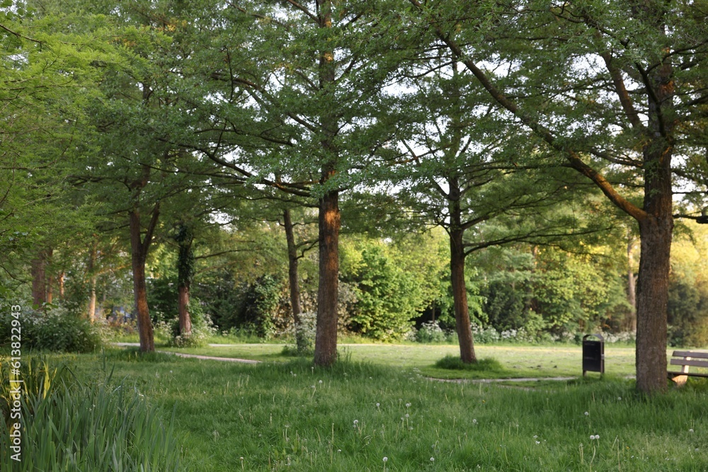 Obraz premium Picturesque view of park with green grass and plants outdoors