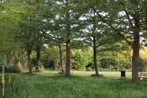 Picturesque view of park with green grass and plants outdoors