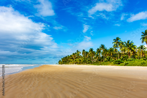 Landscape of the idyllic beach of Sargi with its coconut trees and sand meeting the sea in Serra Grande on the coast of Bahia, northeastern Brazil