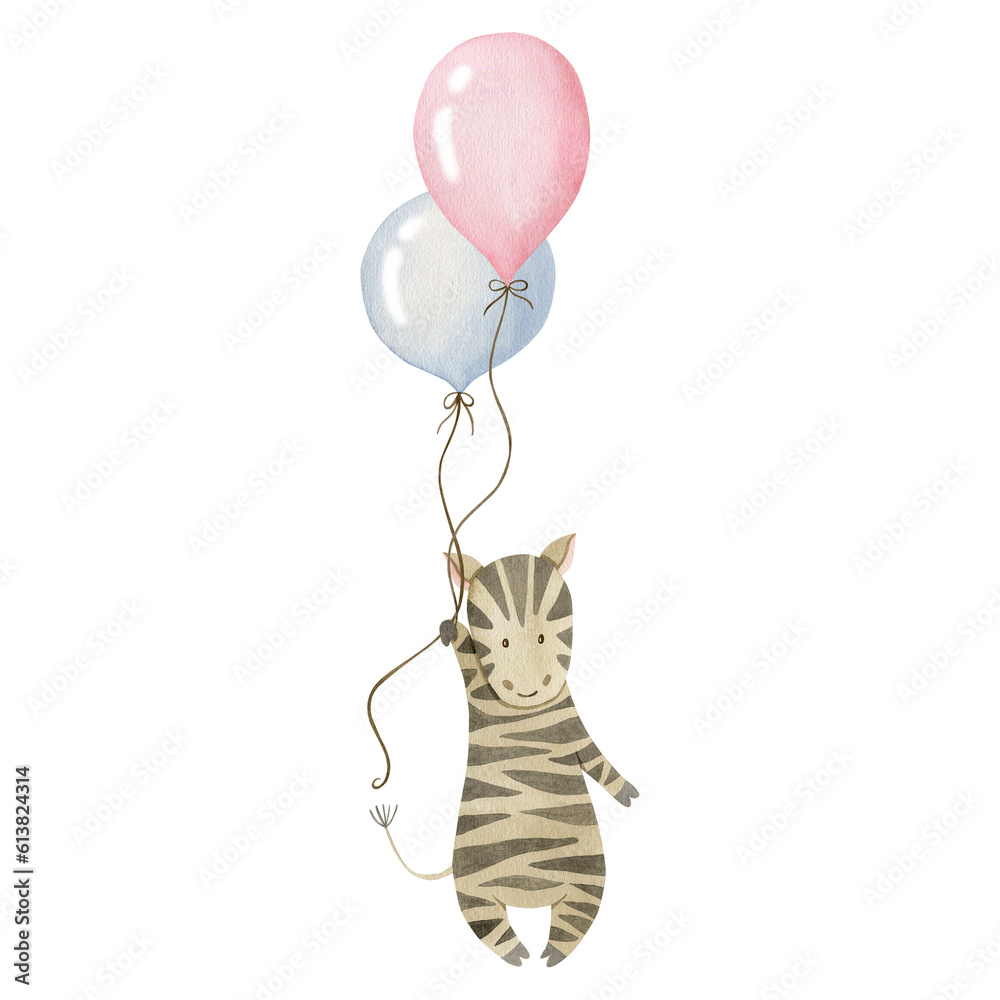 Zebra on a balloon watercolor illustration isolated on white background