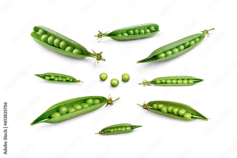 A collection of fresh home grown organic green peas, pea pods isolated against a transparent background.