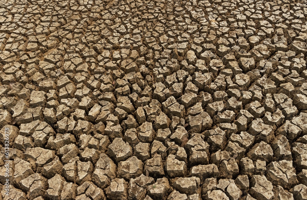Drought Land or Dried Cracked Land Due to Water or Rain Crisis in India Rural Area Drought Land or Dried Cracked Land Due to Water or Rain Crisis in India Rural Area