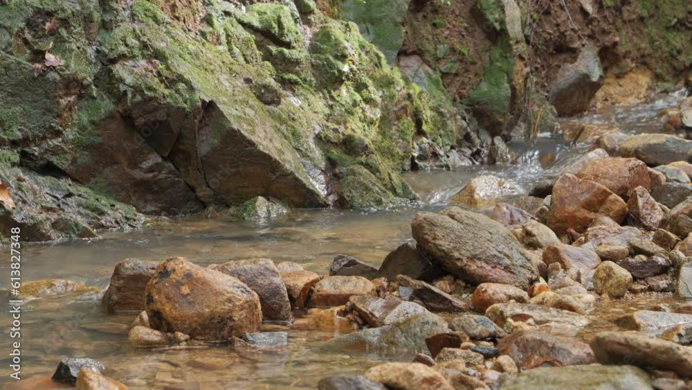 In the forest, a mysterious river flow In the forest, a mysterious river flow