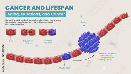 The Mysteries of Cancer-Exploring Aging Mutations in Cancer Cells infographics -Vector illustration