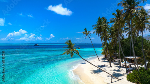 The holiday of summer palm tree and Tropical beach with blue of seashore background