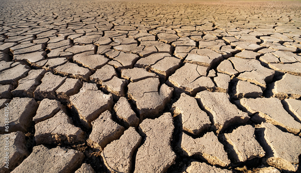 Texture dry and cracked soil background pattern of drought lack of water of nature