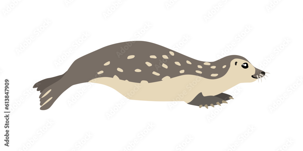 Animal illustration. Moving seal drawn in a flat style. Isolated object on a white background. Vector 10 EPS Animal illustration. Moving seal drawn in a flat style. Isolated object on a white background. Vector 10 EPS