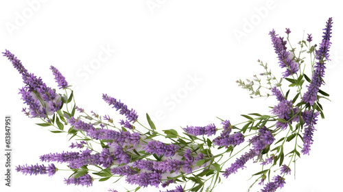 lavender sprigs forming a corner border frame with negative space on a transparent background, generative ai