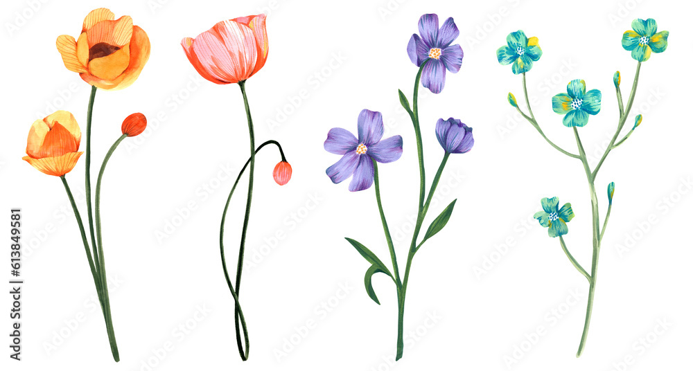 Naklejka premium Wild Flower Watercolor