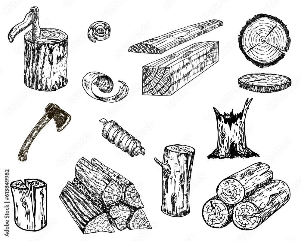 Wood logs, trunk vector sketch illustration. Hand drawn wooden ...
