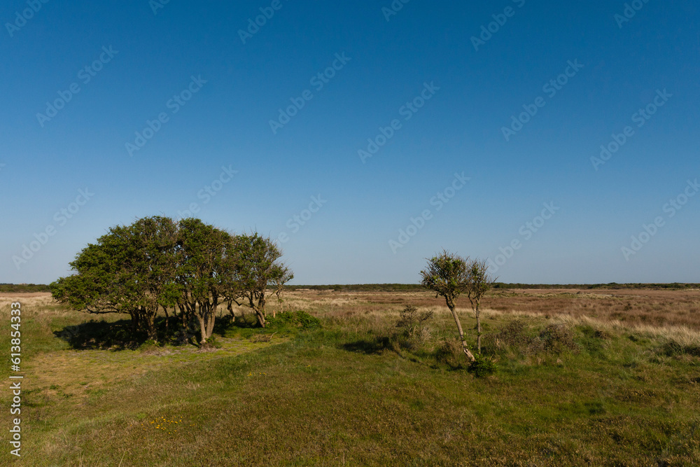 Landschap op Schiermonnikoog, Landscape at Schiermonnikoog