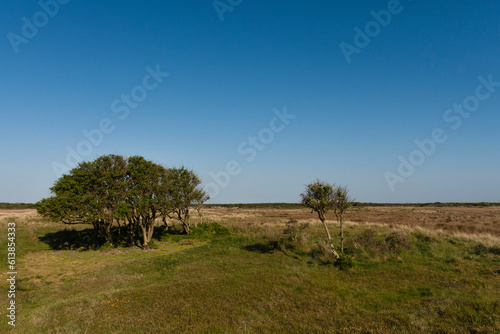 Landschap op Schiermonnikoog, Landscape at Schiermonnikoog