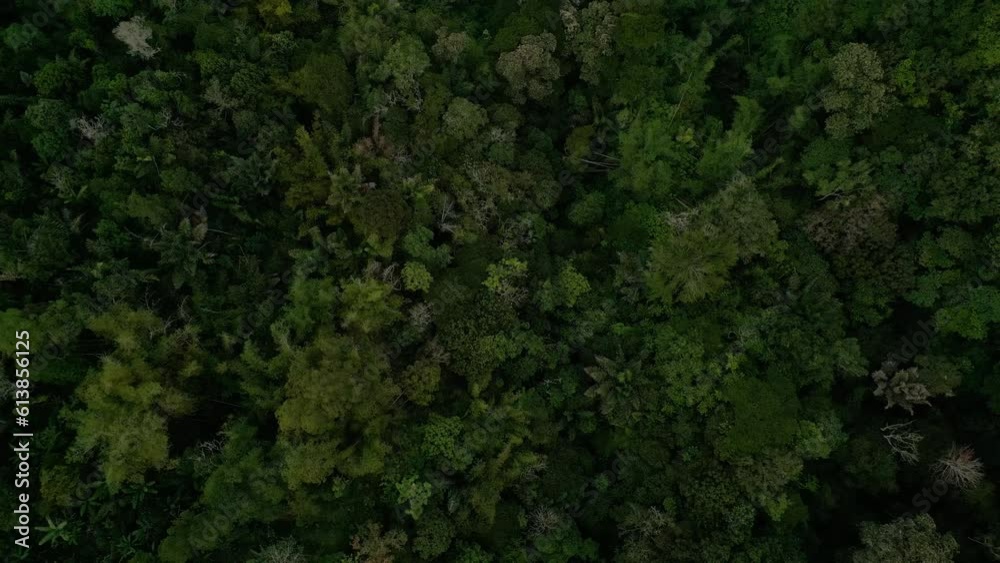 Areal drone footage of Mt Batur volcano in Bali Indonesia 