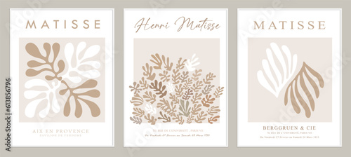 Contains Abstract Art Set in Matisse style, Decorative Modern Art, Vector illustration poster. Collection for trendy floral decoration and creative art. minimal aesthetic modern art.