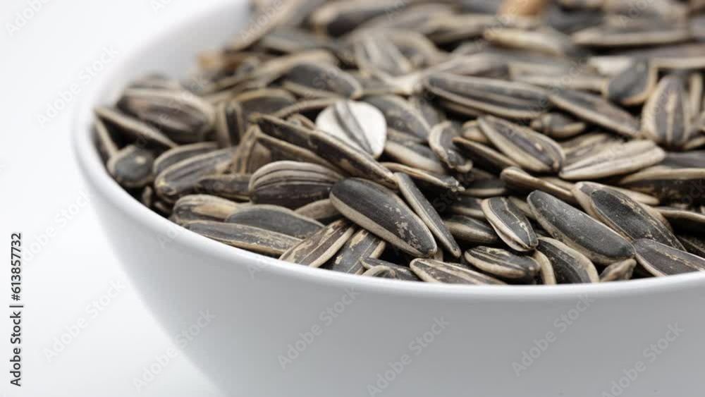 Sunflower Seeds. Panning Dolly Slider Shot. Close Up. 4k, 60 FPS, ProRes Sunflower Seeds. Panning Dolly Slider Shot. Close Up. 4k, 60 FPS, ProRes