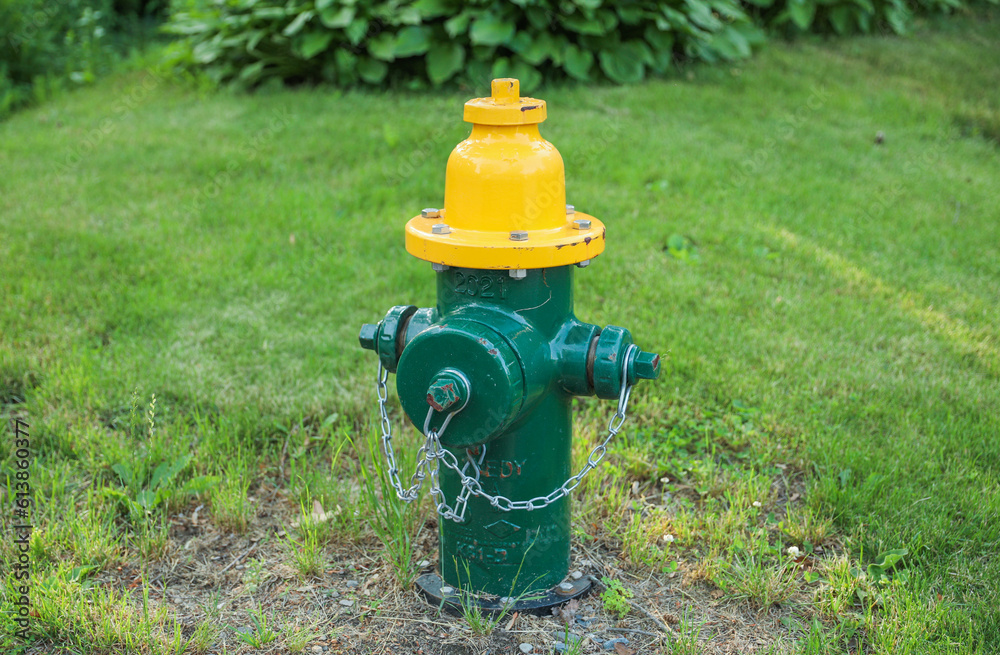 vital safety measure on urban streets, the fire hydrant represents readiness, protection, and the potential to extinguish raging flames