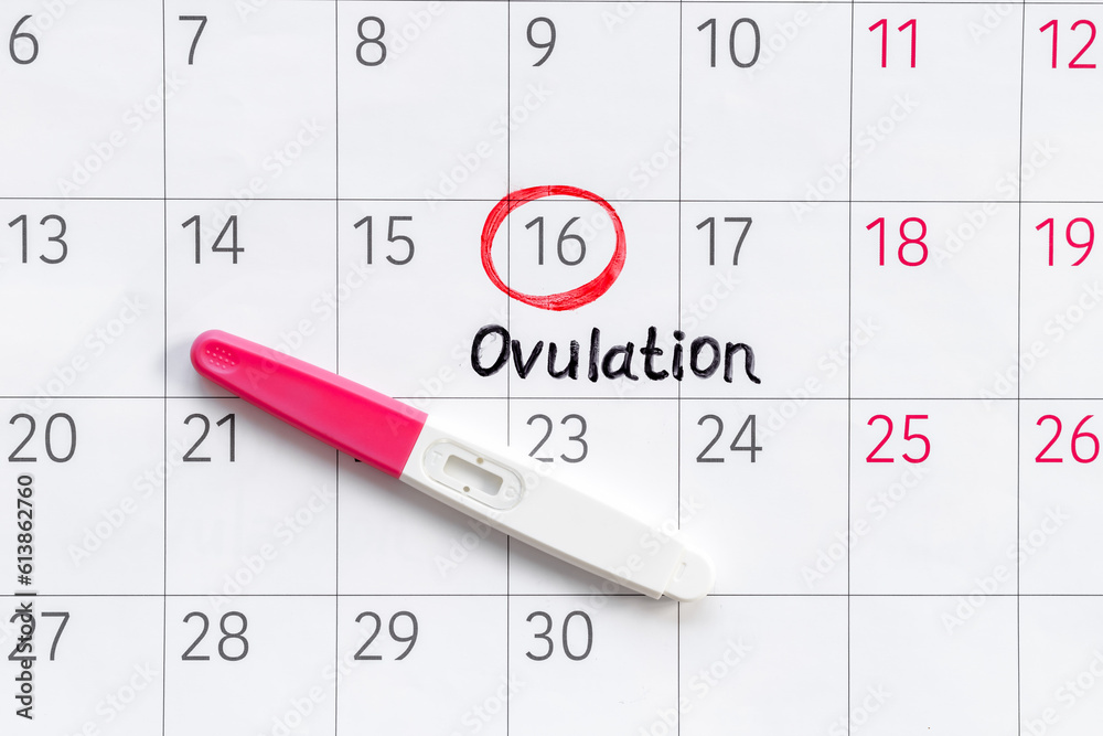 Pregnancy test with female ovulation day on calendar Pregnancy test with female ovulation day on calendar