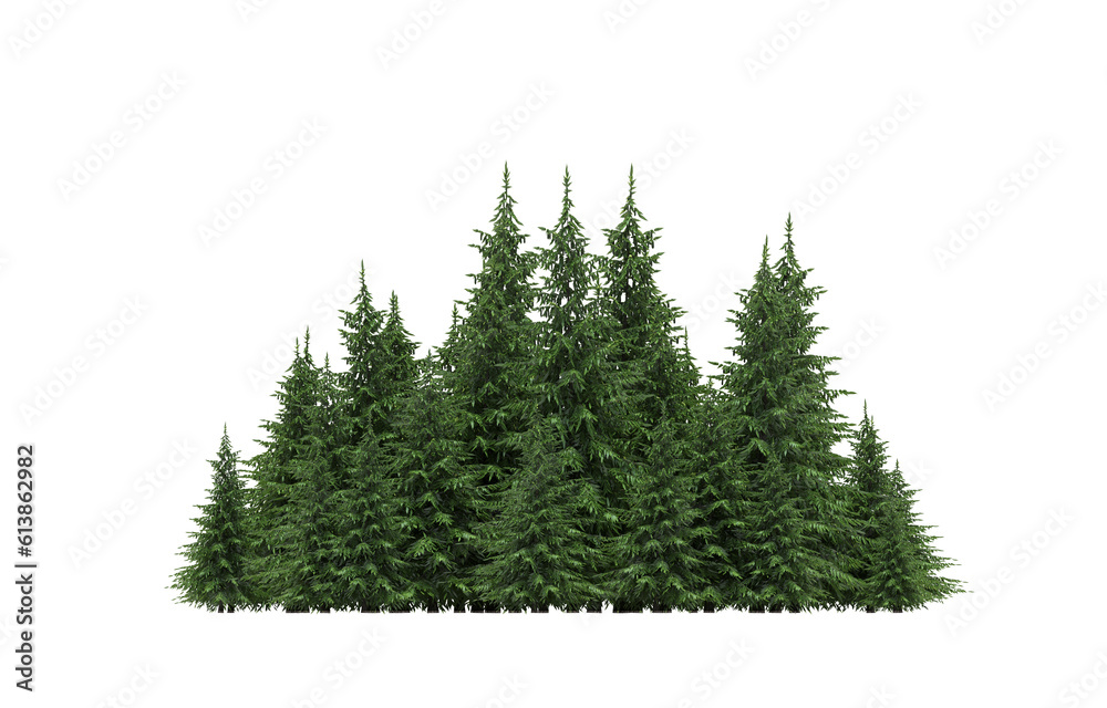 Fototapeta premium group of trees isolated on a transparent background, big trees in the forest, 3D illustration, cg render