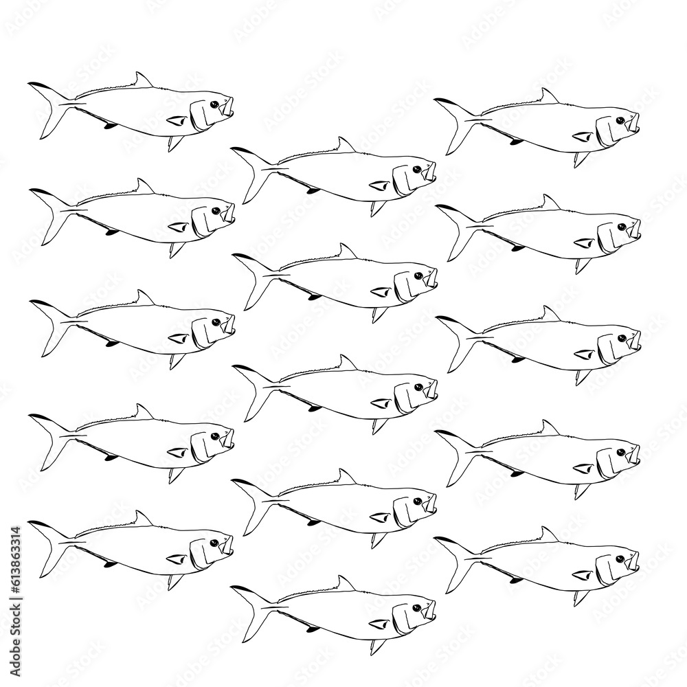 Obraz premium Pattern of California Yellowtail Fish 