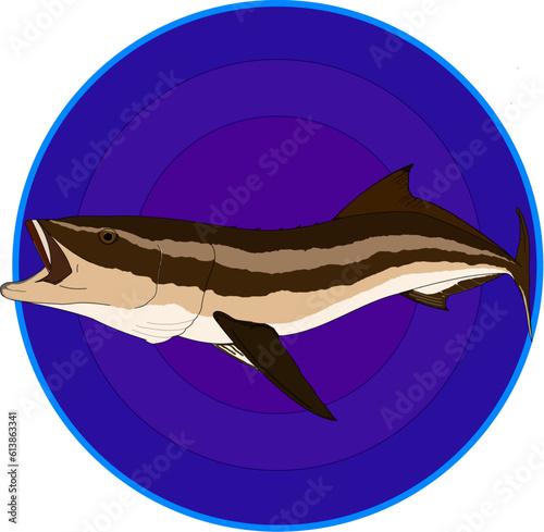 A Cobia fish in a blue circle design 