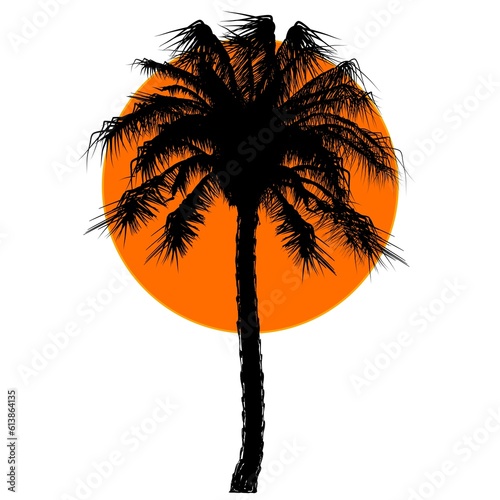 A Pam tree silhouette and sun 