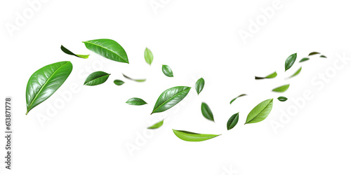 Flying realistic green leaves dancing flow isolate 3d render png