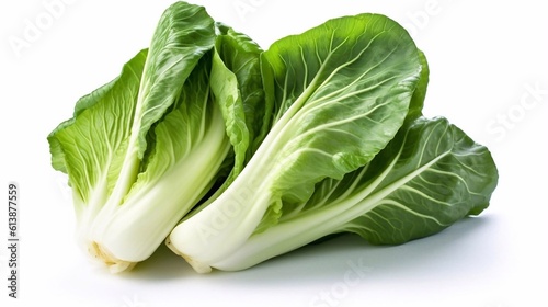  Close up of Fresh green Bok Choy or Pak Choi(Chinese cabbage) on white background. AI generated photo