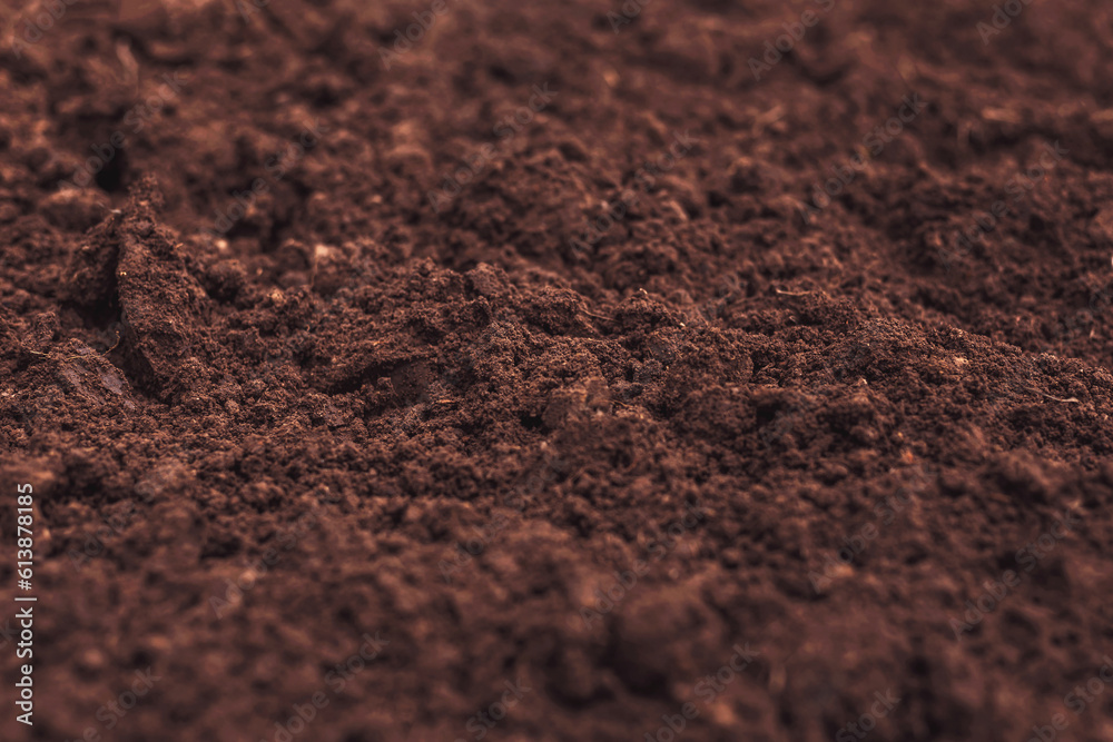 Close-up of fertile loam for the background Close-up of fertile loam for the background