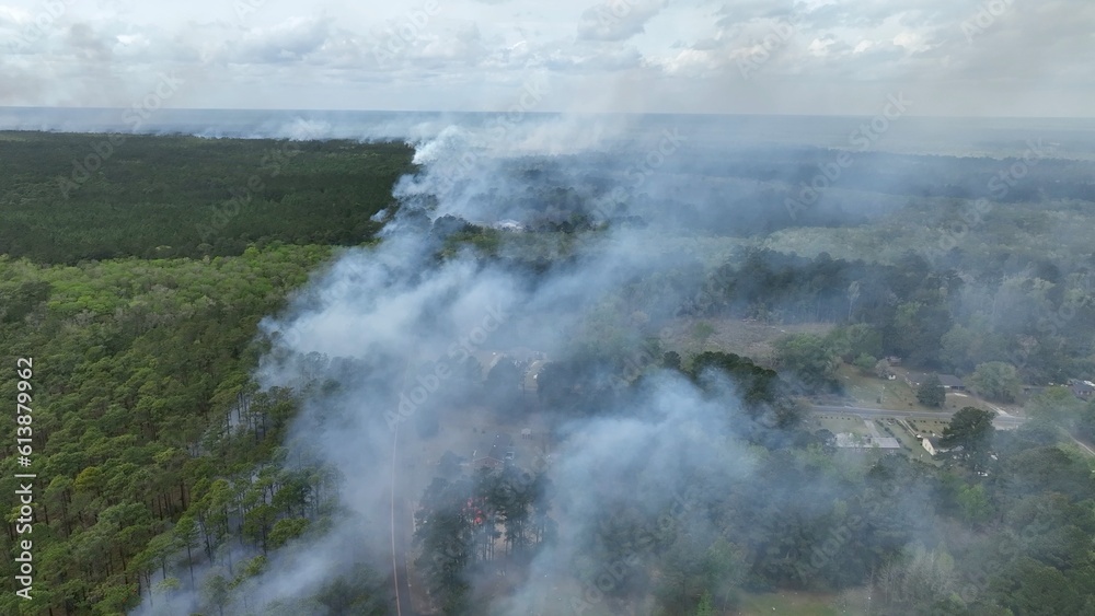 Prescribed, controlled burn of forest to prevent wildfires across South Carolina low country