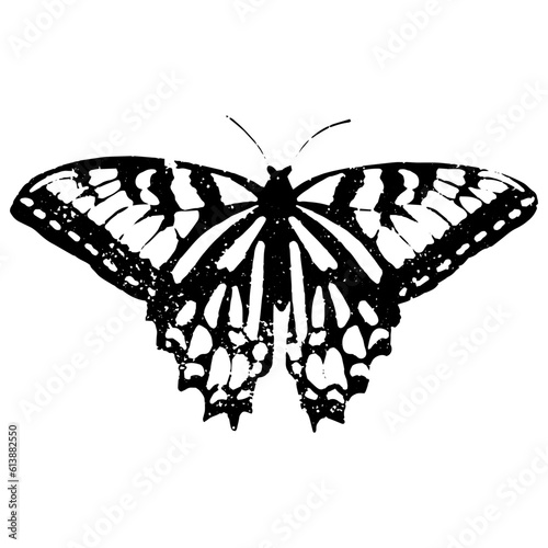 Lino cut butterfly silhouette. Hand made stamp for printing. Vector illustration isolated on white background