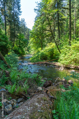 Silver Creek In Park 3