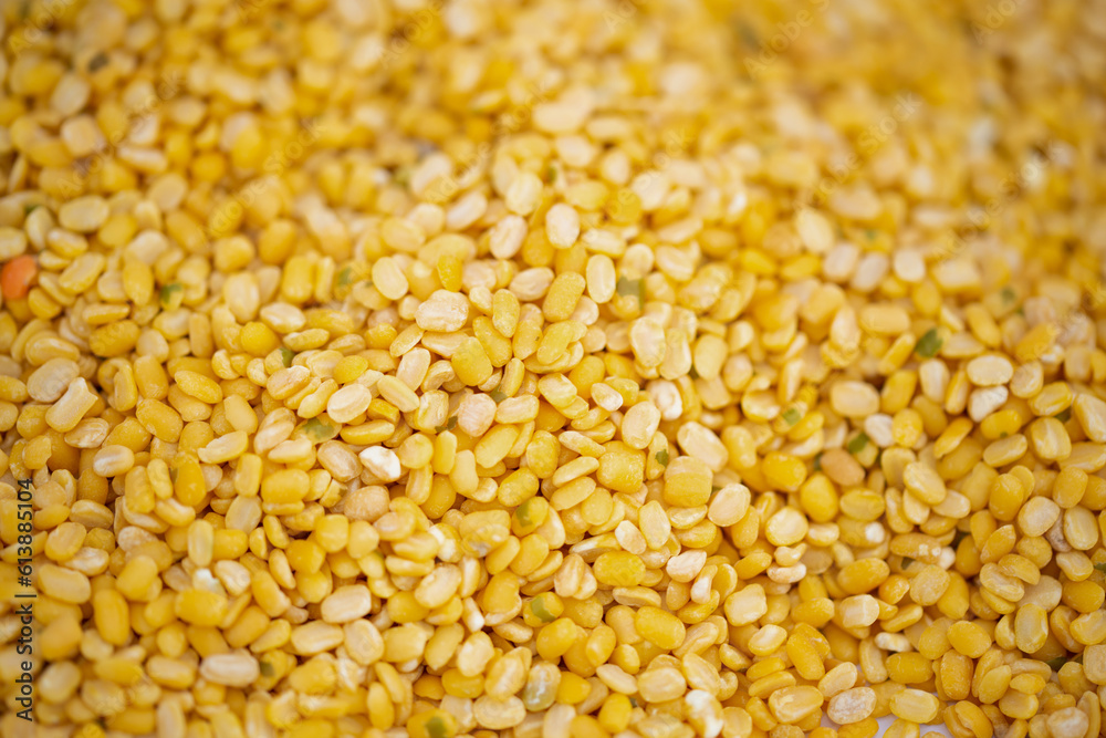 The pile of Gram pulses, Split Chickpeas, and Lentil Pulses. The pile of Gram pulses, Split Chickpeas, and Lentil Pulses.