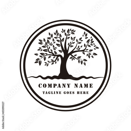Root Leaf Family Tree of Life Oak Banyan Maple Stamp Seal Emblem Label logo