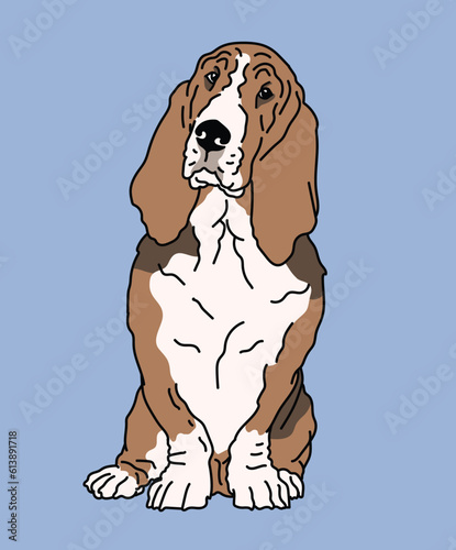 Basset Hound Dog Sitting Front View Illustration